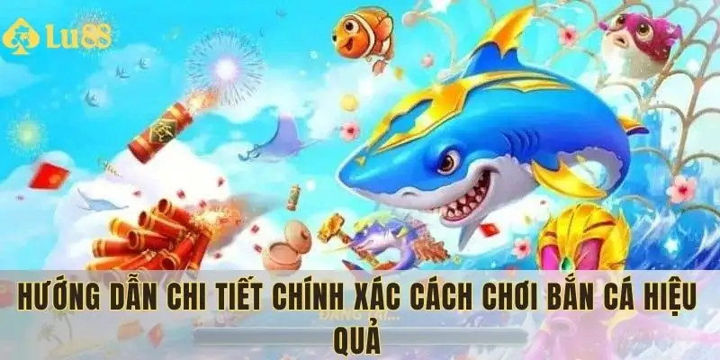 Cách chơi bắn cá hiệu quả